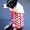 Official Dog Scout Uniform