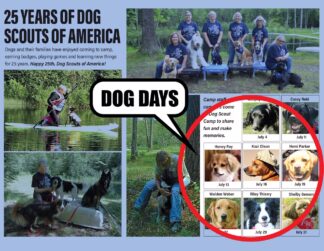 Dog Days for the 2023 DSA Calendar