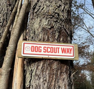 Dog Scout Way Street Sign